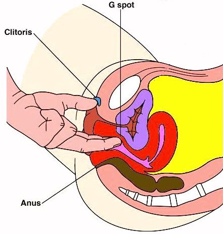 Klitoris a bod G